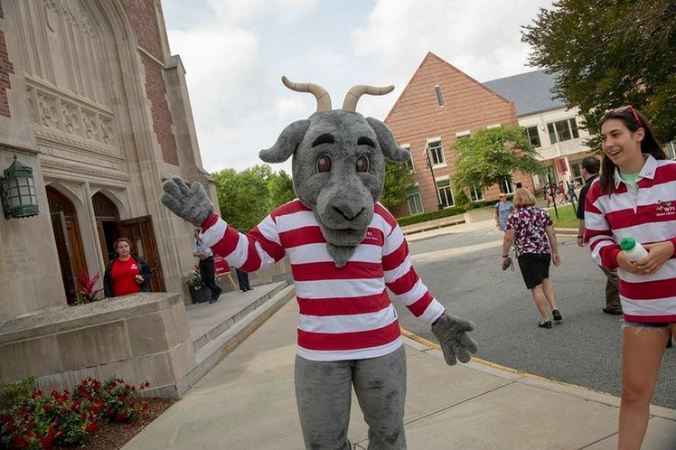 WPI Business School Swag